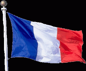 france-flag(2)